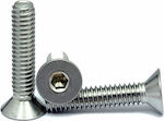 Fresian screw galvanized M5x16 10pcs