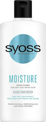 Syoss Moisture Kaede Tree Water 440ml Syoss Moisture Kaede Tree Water 440ml