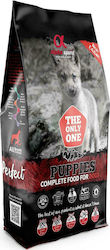 Alpha Spirit The Only One Puppies 12кг