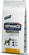 Affinity Advance Veterinary Diets Renal 3kg Ξηρά Τροφή Διαίτης για Ενήλικους Σκύλους με Κρέας και Ρύζι
