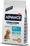 Affinity Advance Puppy Medium 3kg Dry Food for Medium Breed Puppies with Chicken and Rice