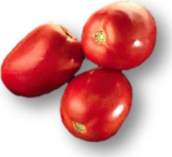 Tomato Diabolik F1 | 1000 Seeds