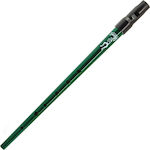 Clarke Tinwhistle Irish Metallic Recorder Sweetone Baroque C Green