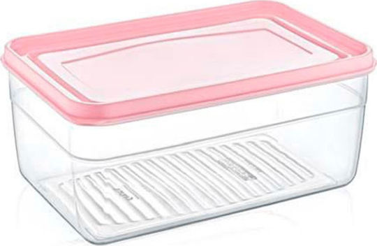 TnS Lunchbox Kunststoff Rosa 5000ml 1Stück