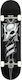 Birdhouse Stage 1 Crest 8" Complete Shortboard Πολύχρωμο