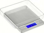 Electronic Precision Commercial Scale with Weighing Capacity of 0.5kg and Division 0.01gr