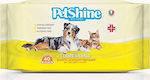 Pet Camelot Petshine 40 Μαντηλάκια Σκύλου για Καθαρισμό Σώματος με Χλωρεξιδίνη