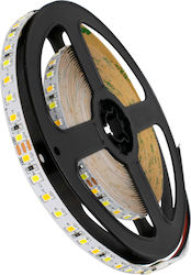 GloboStar Ταινία LED 24V Ρυθμιζόμενο Λευκό 5m