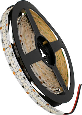 GloboStar Bandă LED Alimentare 24V cu Lumină Verde Lungime 5m și 240 LED-uri pe Metru SMD2835