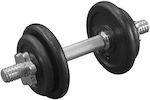 Orion Dumbbell 1x10kg