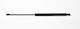 Fa Krosno Trunk Shock for Renault Laguna III Liftback