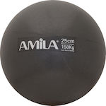 Amila Mini Μπάλα Pilates 25cm σε Μαύρο Χρώμα