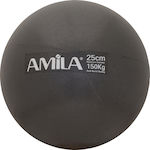 Amila Mini Minge de exerciții Pilates 25cm în Negru Culore