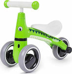 Didicar Diditrike Kids Tricycle for 12+ Months Green