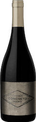 Zuccardi Familia Concreto Rot Trocken 750ml