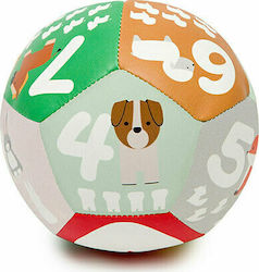 Baby to Love Топка Learning Ball за 0++ месеца