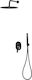 vidaXL Built-in Mixer, Hand Shower & Shower Head Set for Shower 2 Exits Inox Black