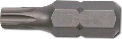 Force Screwdriver Bit Torx with Size T45 Torx