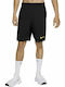 Nike Flex Men's Sports Dri-Fit Monochrome Shorts Black