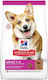 Hill's Science Plan Adult Small Lamb & Rice 6kg Dry Food for Adult Small Breed Dogs with Lamb and Rice