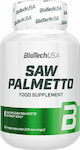 Biotech USA Saw Palmetto