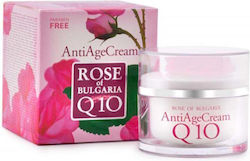 Bio Fresh Rose Of Bulgaria Q10 Ενυδατική Κρέμα 50ml Bio Fresh Rose Of Bulgaria Q10 Ενυδατική Κρέμα 50ml