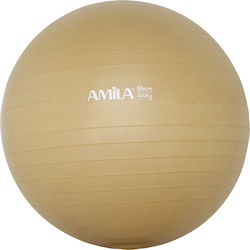 Amila Μπάλα Pilates 65cm, 1.50kg σε Χρυσό Χρώμα Bulk