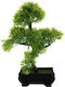 Plantă Artificială în Ghiveci Mic Bonsai 26cm Viosarp