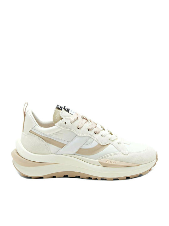 Ash Spider Sneakers Beige