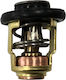 Eval Термостат Термостат 60° Yamaha 6G8-12411-01/66M-12411-01