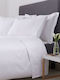 Le Blanc Hotel Sheet White Queen Size 240x280cm Cotton & Polyester 1pcs