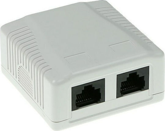 Intronics Doppelter Externe Netzwerksteckdose RJ45 Typ Cat5 in Weiß Farbe Selbstklebend Cat5e FA5002