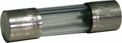 Lalizas Boat Glass Fuse 10A