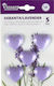 Viosarp Fragrance Wardrobe Heart with Fragrance Lavender VC099 5pcs