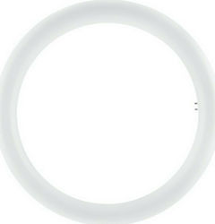 Ledvance Fluorescent Lamp for Socket G10Q 20W 298mm