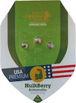 Royal Queen Seeds - HulkBerry auto - 3 seeds