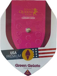 Royal Queen Seeds - Green Gelato - 1 seed