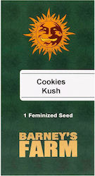 Barneys - Cookies Kush - 1 семе