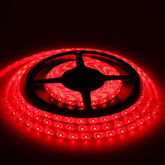 Neta Waterproof LED Strip 12V Red Light 5m Type SMD3528