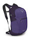 Osprey Daylite Plus Men's Fabric Backpack Waterproof Purple 20lt