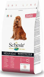 Schesir Medium Adult
