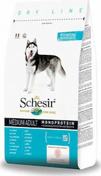 Schesir Medium Adult 3kg Schesir Medium Adult 3kg