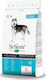 Medium Adult 3kg Dry Food for Adult Medium Breed Dogs with Fish