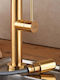 Carron Phoenix Tozo 48580 Tall Kitchen Faucet Counter with Detachable Shower Brushed Gold