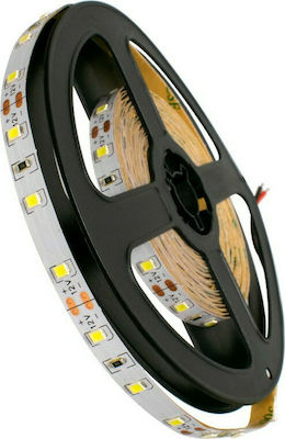 GloboStar LED Streifen Versorgung 12V mit Kaltweiß Licht Länge 5m und 60 LED pro Meter