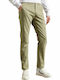 Trousers Chino in Straight Line Green