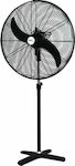 Primo PRSF-80515 Commercial Stand Fan 200W 65cm 800515