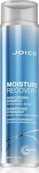 Joico Moisture Recovery