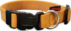 Pet Interest Plain Line Κολάρο σε Χρυσό χρώμα Small 15mm x 22 - 40cm Pet Interest Plain Line Κολάρο σε Χρυσό χρώμα Small 15mm x 22 - 40cm