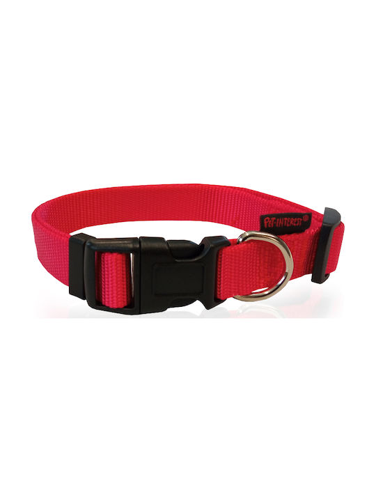 Pet Interest Plain Line Dog Collar in Red Colou...